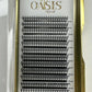 Feather Eyelash Extensions 0.07C 8-15mm