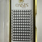 ANIME Premade Eyelash Extensions 0.07C 8-15mm