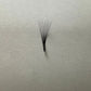 10D Narrow Premade Eyelash Extensions 0.05 7-13mm 500 fans