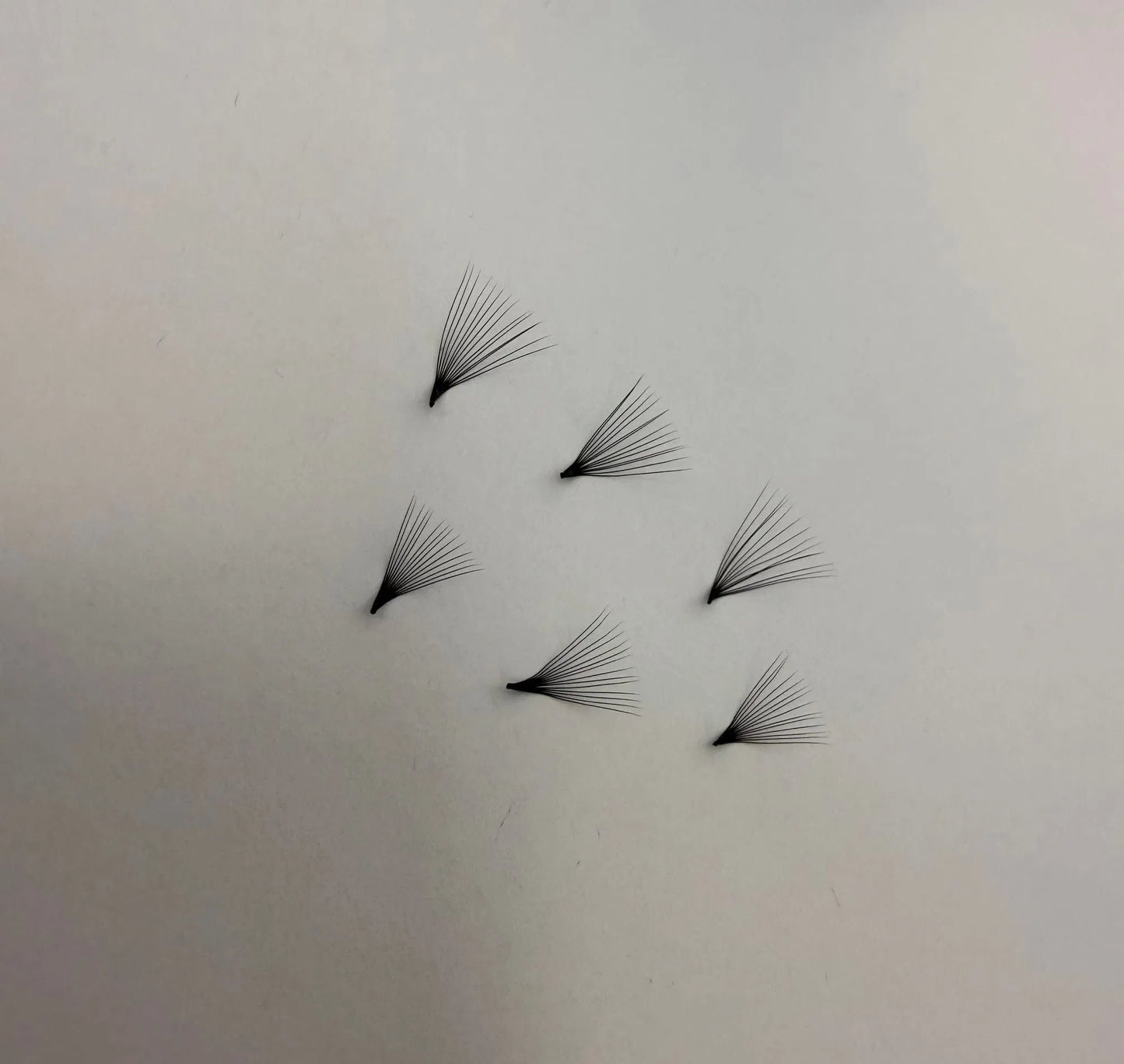14D Premade Eyelash Extensions 0.05 500 fans