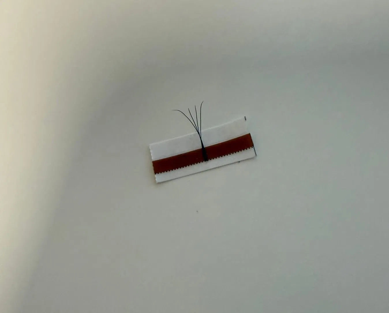 4D W Narrow Premade Eyelash Extensions 0.07