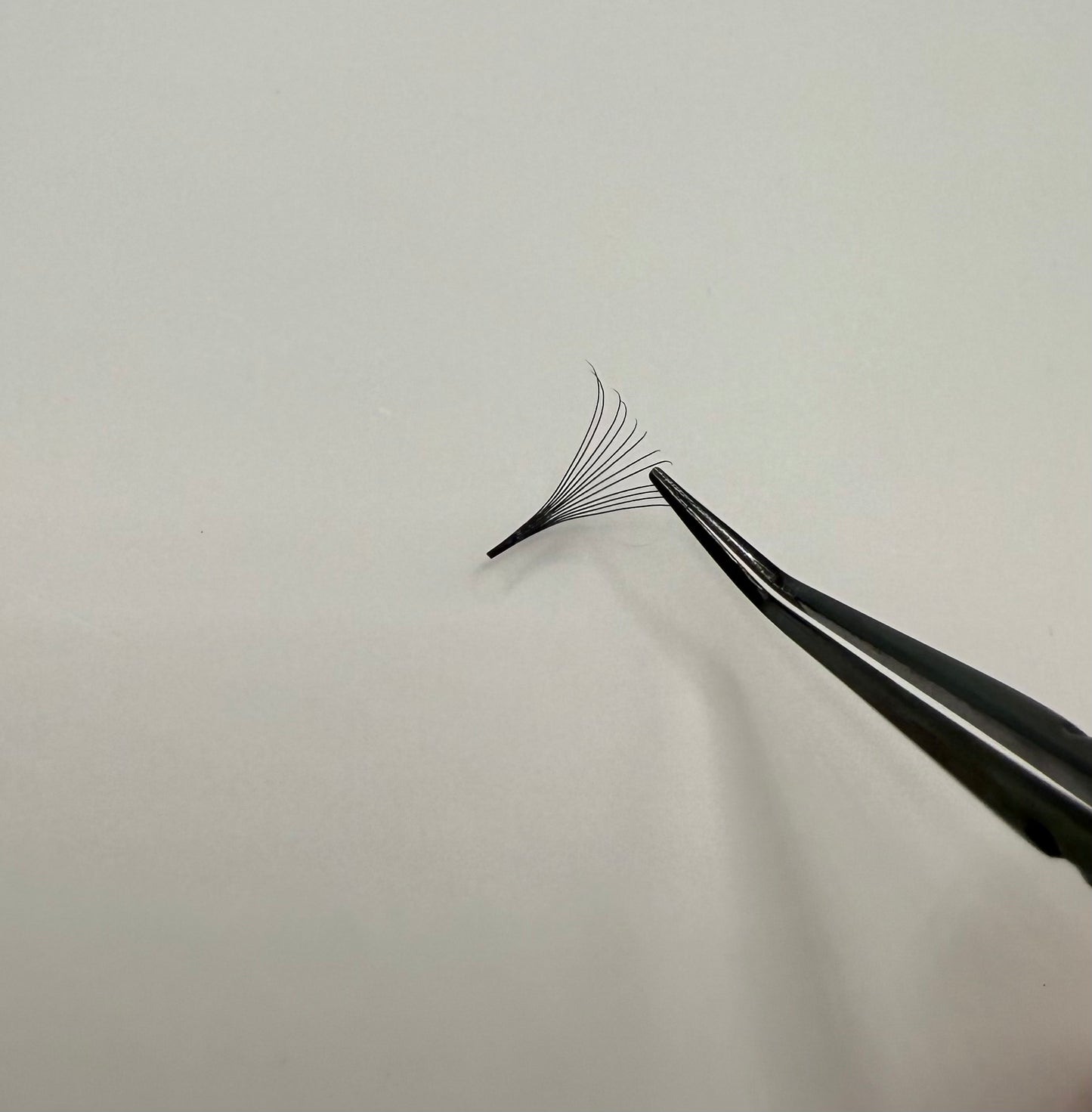 Extensii gene Premade 12D 0.05CC 7-13mm 500 Evantaie 